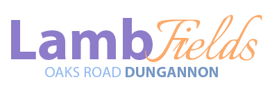 Properties for sale in dungannon - countrywide homes